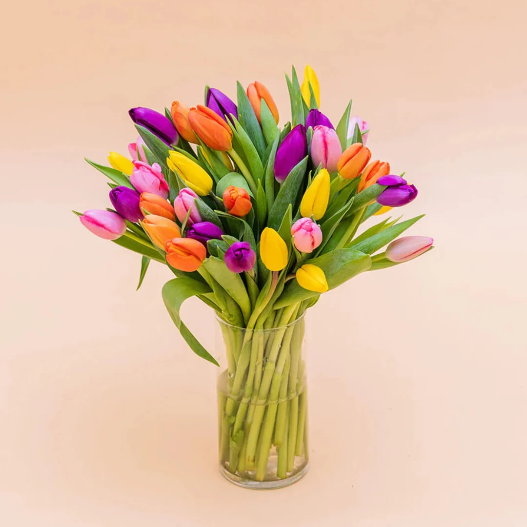 Colección de Primavera