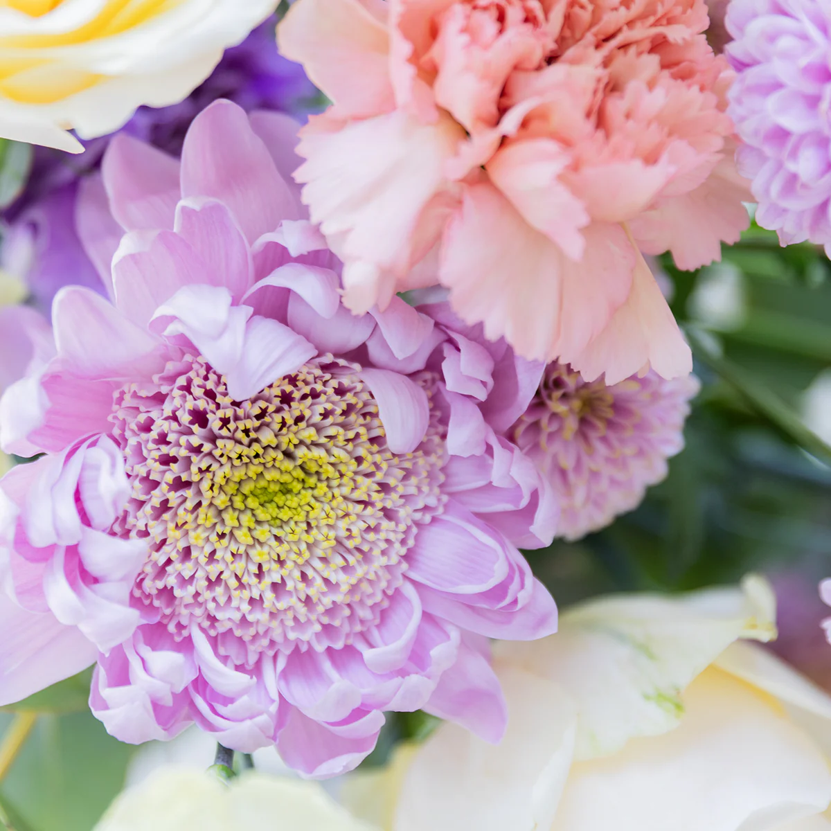 El Pastel - Ramo con flores crema - Image 8