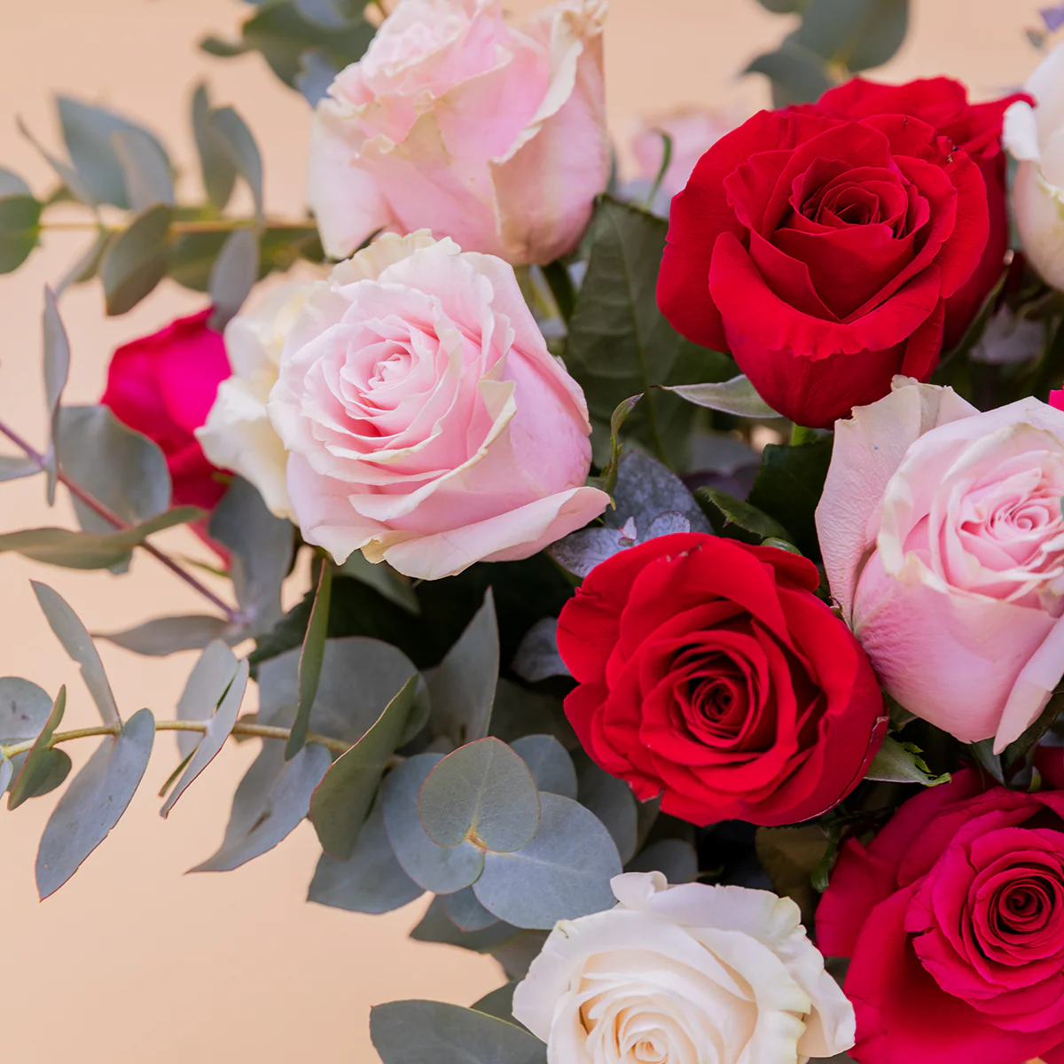 Las Rosas XL - Rosas de colores - Image 4