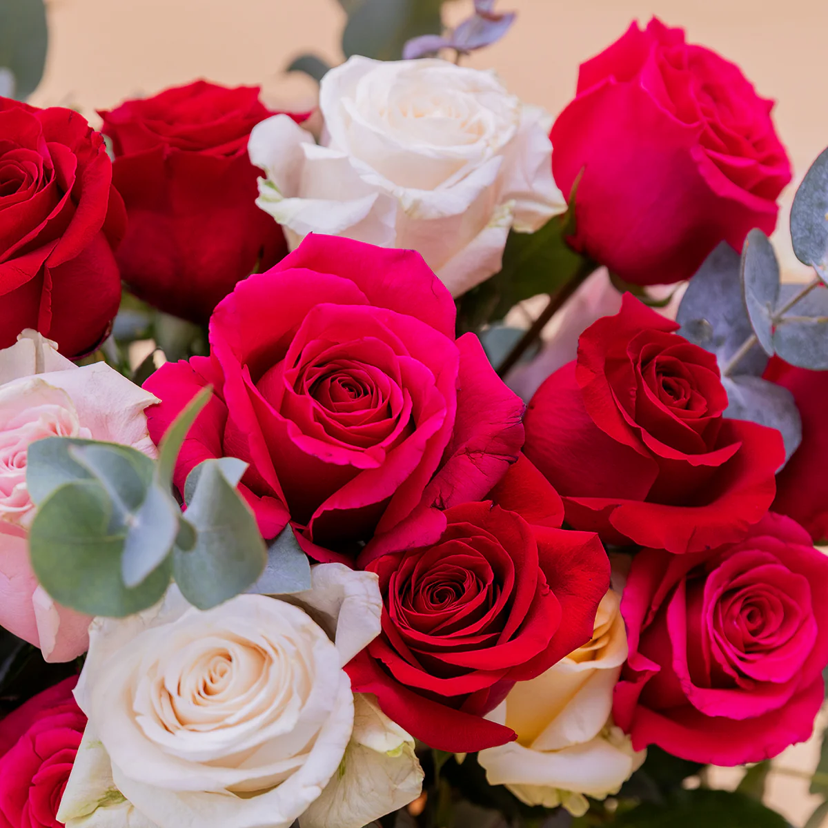 Las Rosas XL - Rosas de colores - Image 6